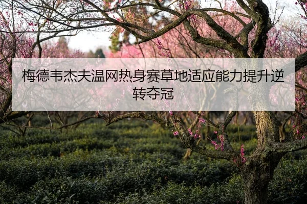 梅德韦杰夫温网热身赛草地适应能力提升逆转夺冠