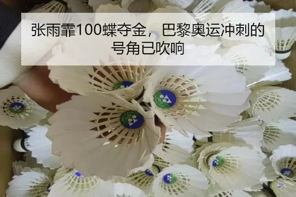 张雨霏100蝶夺金，巴黎奥运冲刺的号角已吹响