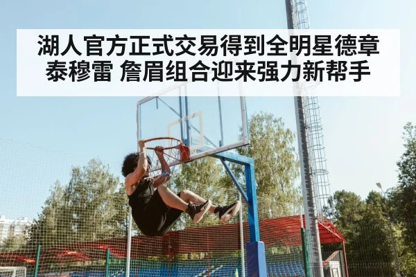 湖人官方正式交易得到全明星德章泰穆雷 詹眉组合迎来强力新帮手